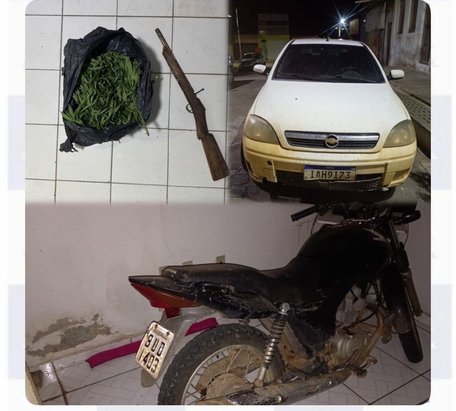 Policia erradica plantio de maconha e apreende arma e veículos na zona rural de Santa Cruz